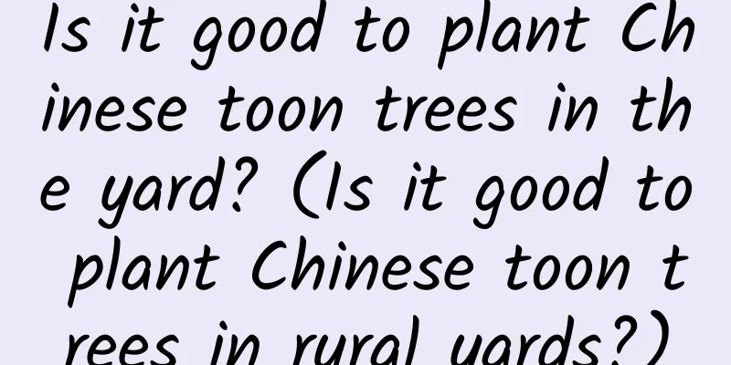 Is it good to plant Chinese toon trees in the yard? (Is it good to plant Chinese toon trees in rural yards?)
