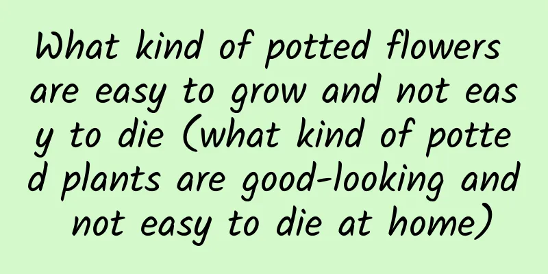 What kind of potted flowers are easy to grow and not easy to die (what kind of potted plants are good-looking and not easy to die at home)