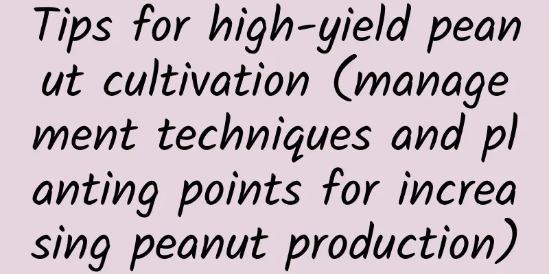 Tips for high-yield peanut cultivation (management techniques and planting points for increasing peanut production)