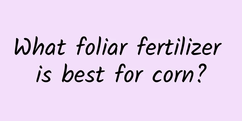 What foliar fertilizer is best for corn?