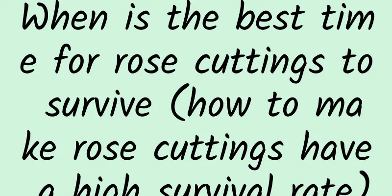 When is the best time for rose cuttings to survive (how to make rose cuttings have a high survival rate)