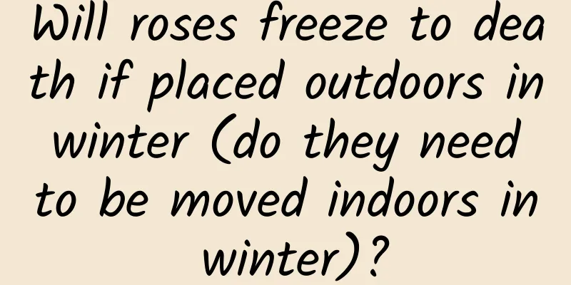 Will roses freeze to death if placed outdoors in winter (do they need to be moved indoors in winter)?