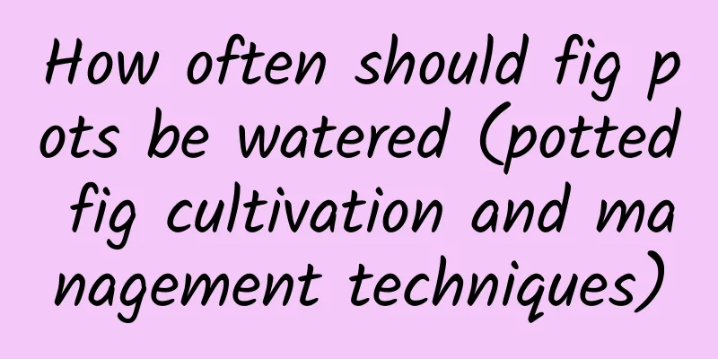 How often should fig pots be watered (potted fig cultivation and management techniques)