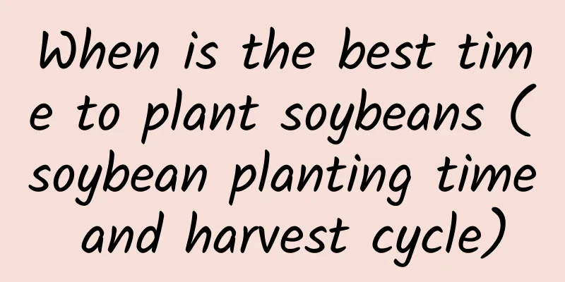 When is the best time to plant soybeans (soybean planting time and harvest cycle)