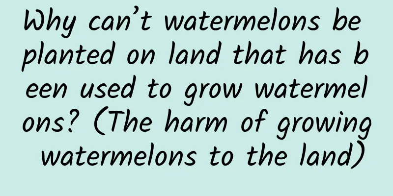 Why can’t watermelons be planted on land that has been used to grow watermelons? (The harm of growing watermelons to the land)