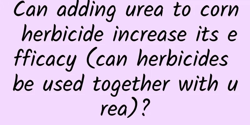 Can adding urea to corn herbicide increase its efficacy (can herbicides be used together with urea)?