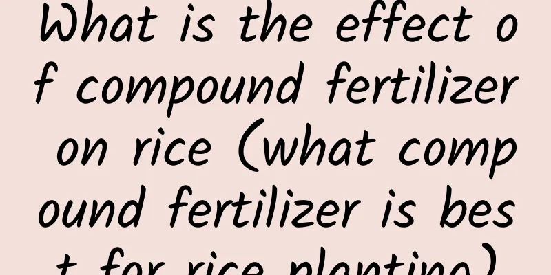 What is the effect of compound fertilizer on rice (what compound fertilizer is best for rice planting)