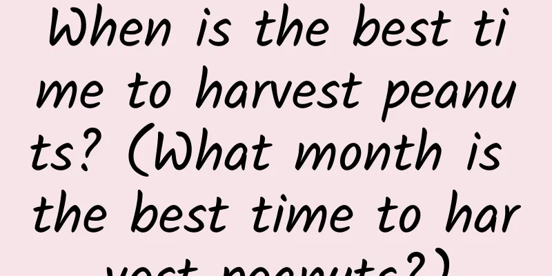 When is the best time to harvest peanuts? (What month is the best time to harvest peanuts?)