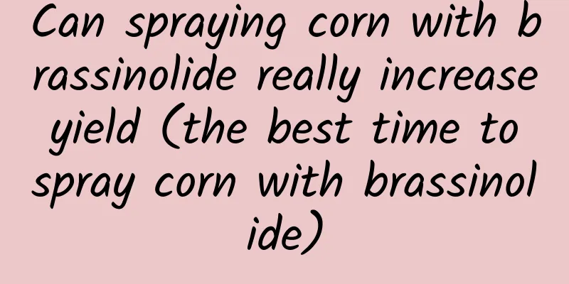 Can spraying corn with brassinolide really increase yield (the best time to spray corn with brassinolide)