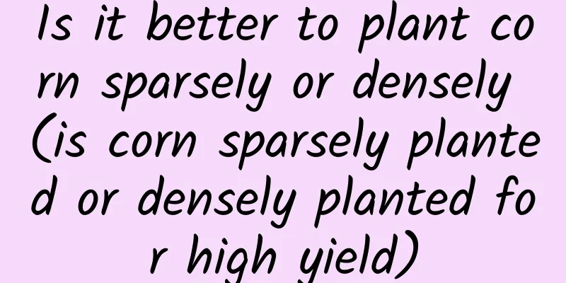 Is it better to plant corn sparsely or densely (is corn sparsely planted or densely planted for high yield)