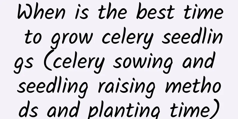 When is the best time to grow celery seedlings (celery sowing and seedling raising methods and planting time)