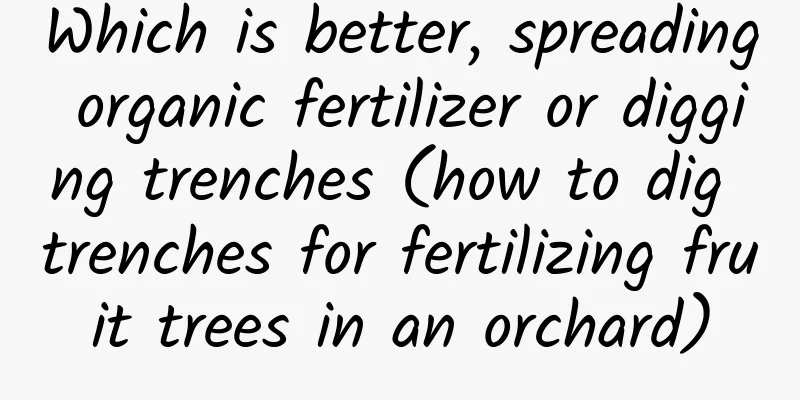 Which is better, spreading organic fertilizer or digging trenches (how to dig trenches for fertilizing fruit trees in an orchard)