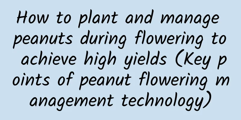How to plant and manage peanuts during flowering to achieve high yields (Key points of peanut flowering management technology)