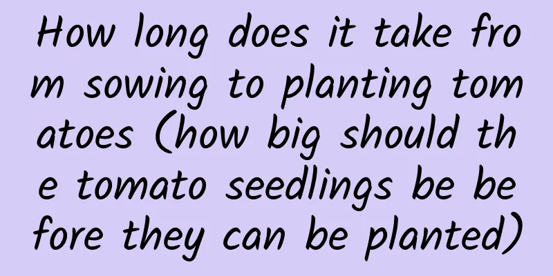 How long does it take from sowing to planting tomatoes (how big should the tomato seedlings be before they can be planted)