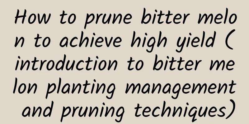 How to prune bitter melon to achieve high yield (introduction to bitter melon planting management and pruning techniques)
