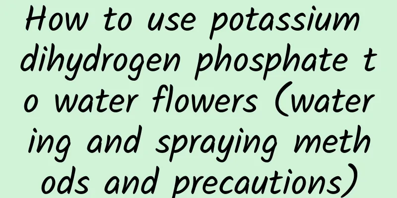 How to use potassium dihydrogen phosphate to water flowers (watering and spraying methods and precautions)