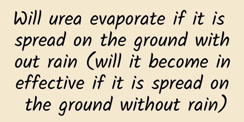 Will urea evaporate if it is spread on the ground without rain (will it become ineffective if it is spread on the ground without rain)