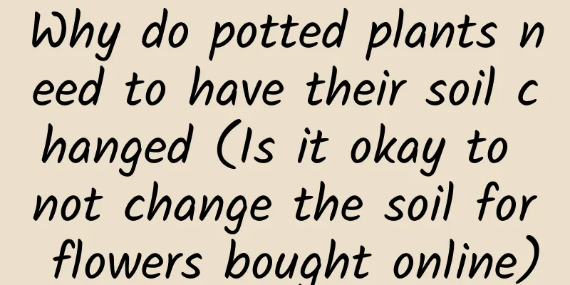 Why do potted plants need to have their soil changed (Is it okay to not change the soil for flowers bought online)