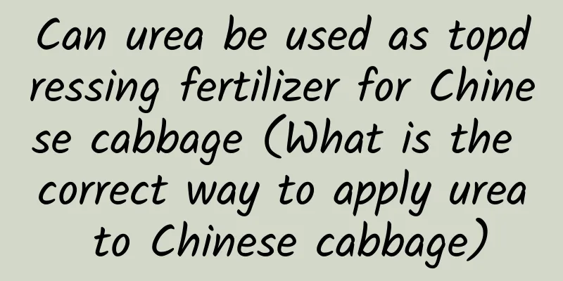 Can urea be used as topdressing fertilizer for Chinese cabbage (What is the correct way to apply urea to Chinese cabbage)
