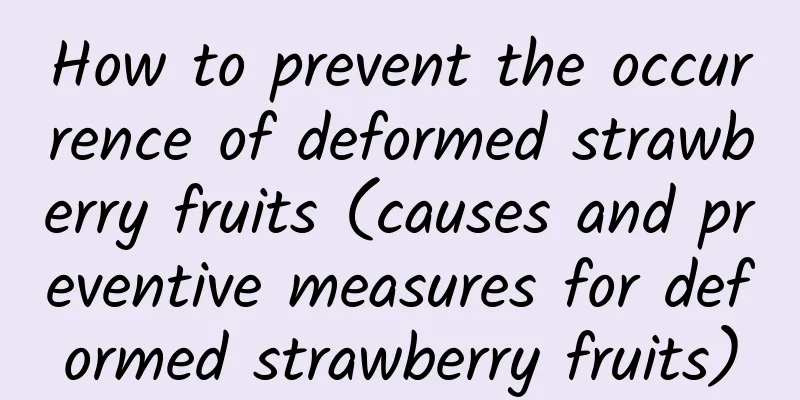 How to prevent the occurrence of deformed strawberry fruits (causes and preventive measures for deformed strawberry fruits)