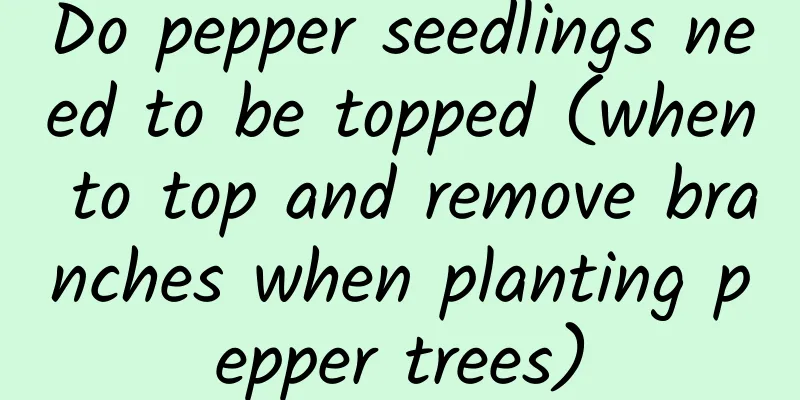 Do pepper seedlings need to be topped (when to top and remove branches when planting pepper trees)