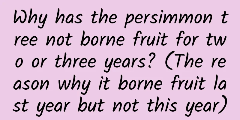 Why has the persimmon tree not borne fruit for two or three years? (The reason why it borne fruit last year but not this year)