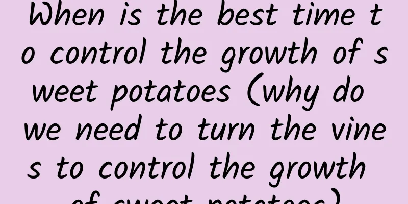 When is the best time to control the growth of sweet potatoes (why do we need to turn the vines to control the growth of sweet potatoes)