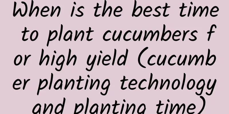 When is the best time to plant cucumbers for high yield (cucumber planting technology and planting time)
