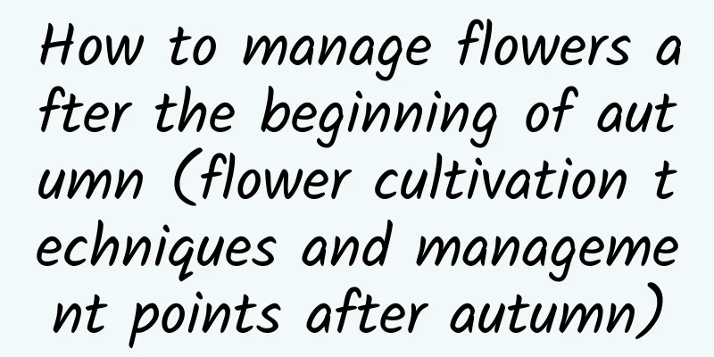 How to manage flowers after the beginning of autumn (flower cultivation techniques and management points after autumn)