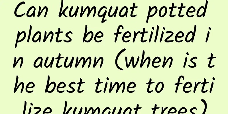 Can kumquat potted plants be fertilized in autumn (when is the best time to fertilize kumquat trees)