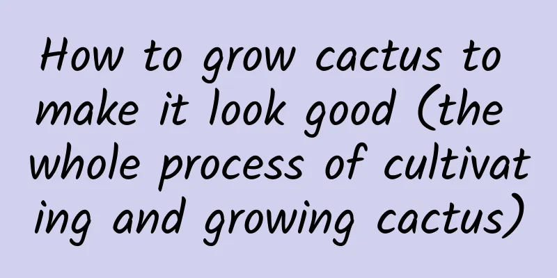 How to grow cactus to make it look good (the whole process of cultivating and growing cactus)