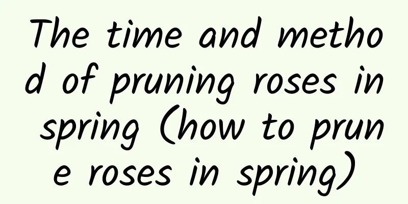 The time and method of pruning roses in spring (how to prune roses in spring)