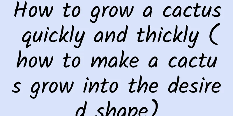 How to grow a cactus quickly and thickly (how to make a cactus grow into the desired shape)