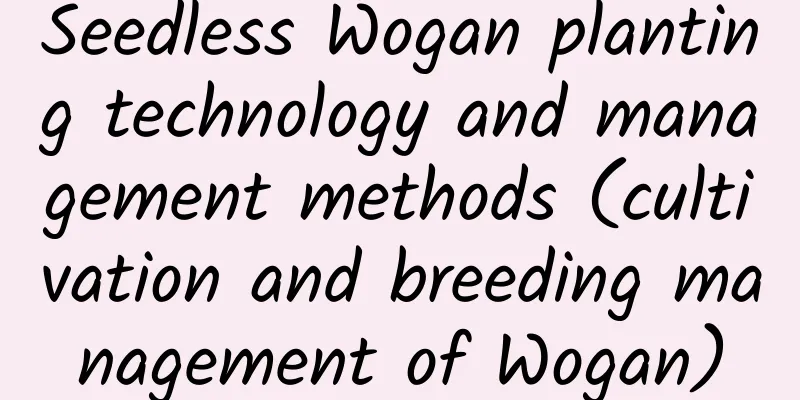 Seedless Wogan planting technology and management methods (cultivation and breeding management of Wogan)