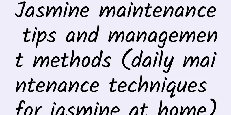 Jasmine maintenance tips and management methods (daily maintenance techniques for jasmine at home)