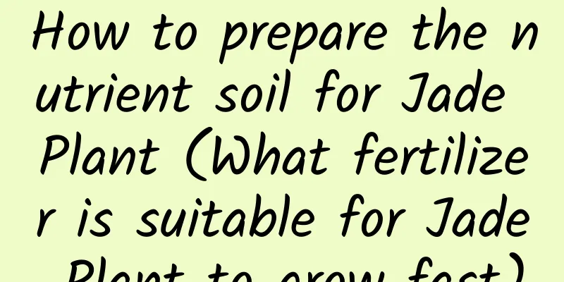 How to prepare the nutrient soil for Jade Plant (What fertilizer is suitable for Jade Plant to grow fast)