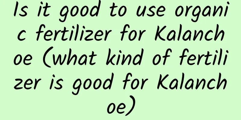 Is it good to use organic fertilizer for Kalanchoe (what kind of fertilizer is good for Kalanchoe)