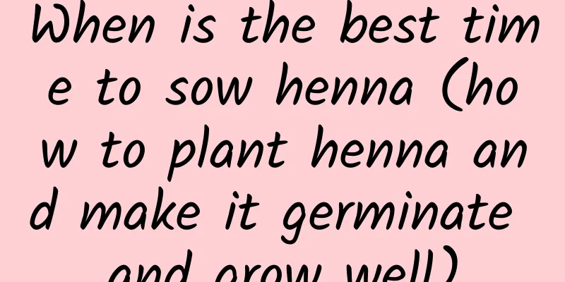 When is the best time to sow henna (how to plant henna and make it germinate and grow well)