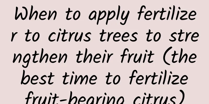 When to apply fertilizer to citrus trees to strengthen their fruit (the best time to fertilize fruit-bearing citrus)