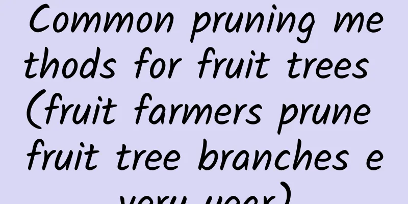 Common pruning methods for fruit trees (fruit farmers prune fruit tree branches every year)