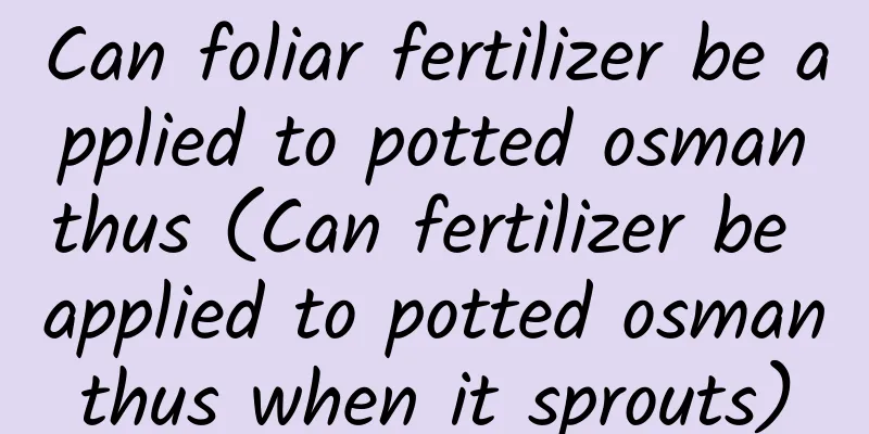 Can foliar fertilizer be applied to potted osmanthus (Can fertilizer be applied to potted osmanthus when it sprouts)