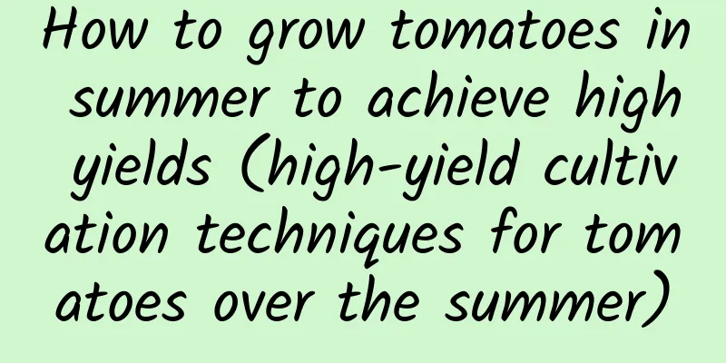 How to grow tomatoes in summer to achieve high yields (high-yield cultivation techniques for tomatoes over the summer)