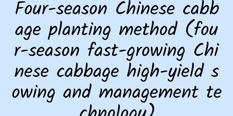 Four-season Chinese cabbage planting method (four-season fast-growing Chinese cabbage high-yield sowing and management technology)