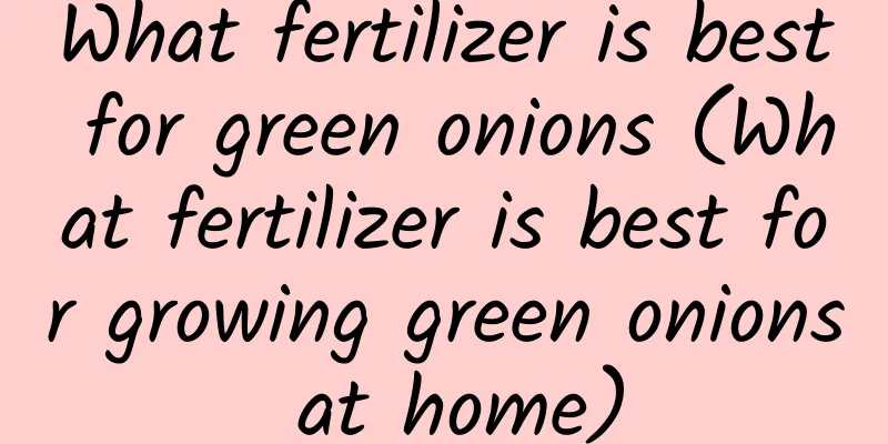 What fertilizer is best for green onions (What fertilizer is best for growing green onions at home)