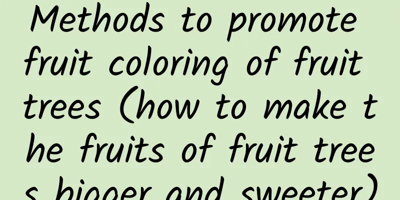 Methods to promote fruit coloring of fruit trees (how to make the fruits of fruit trees bigger and sweeter)
