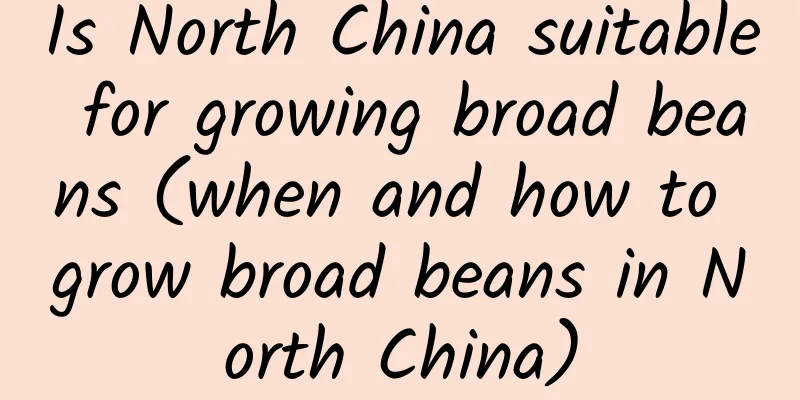 Is North China suitable for growing broad beans (when and how to grow broad beans in North China)