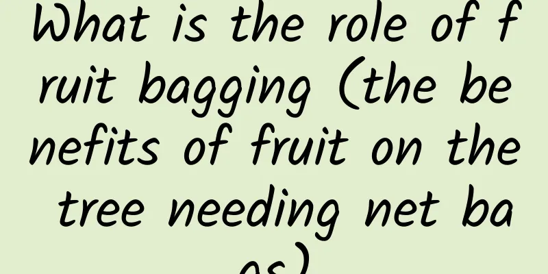 What is the role of fruit bagging (the benefits of fruit on the tree needing net bags)