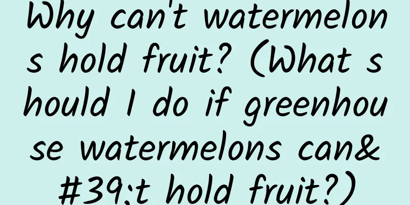 Why can't watermelons hold fruit? (What should I do if greenhouse watermelons can't hold fruit?)