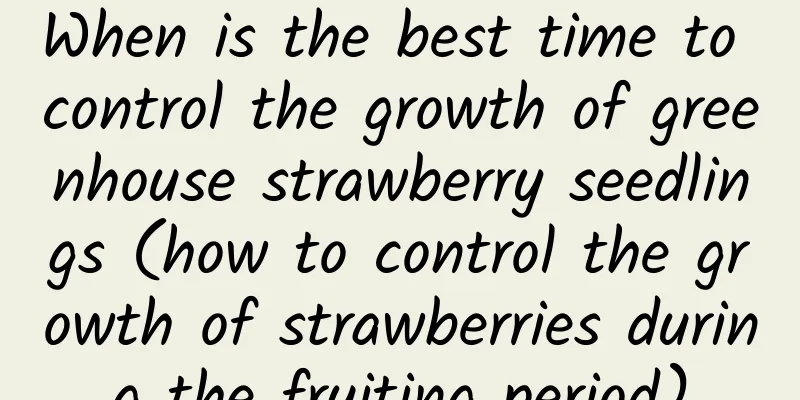 When is the best time to control the growth of greenhouse strawberry seedlings (how to control the growth of strawberries during the fruiting period)