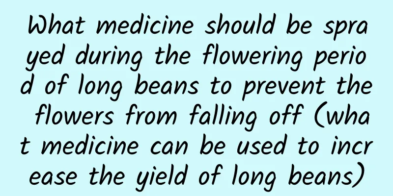 What medicine should be sprayed during the flowering period of long beans to prevent the flowers from falling off (what medicine can be used to increase the yield of long beans)